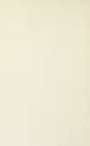 Page 4 of Wild flowers of Western Canada