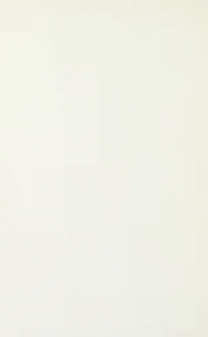 Page 6 of Wild flowers of Western Canada