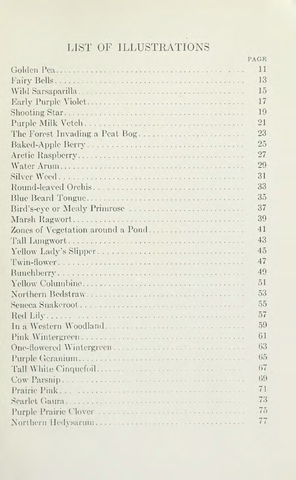 Page 13 of Wild flowers of Western Canada