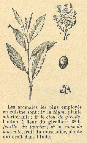 Chapitre 8, page 28, Les aromates