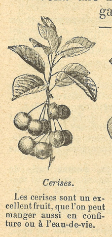 Chapitre 22, page 78, Cerises