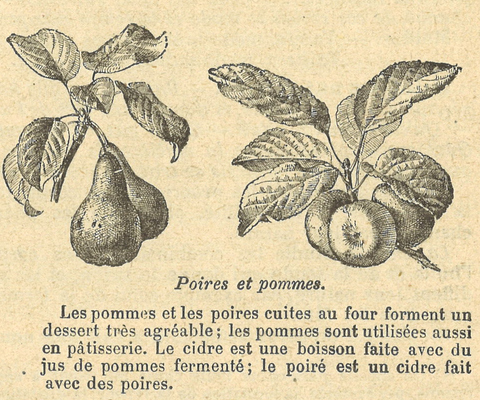 Chapitre 22, page 78, Poires et pommes
