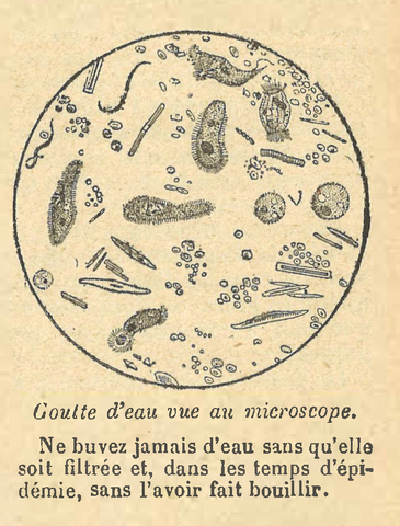 Chapitre 26, page 93, Goutte d'eau vue au microscope
