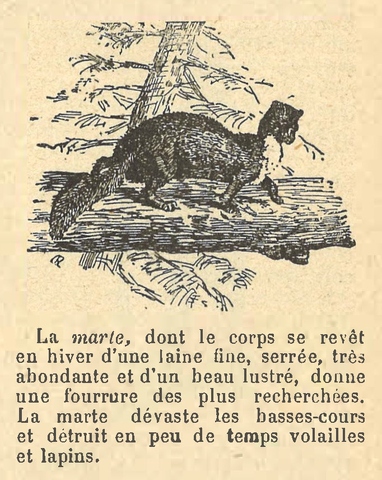 Chapitre 56, page 196-2