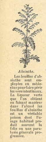 Chapitre 131, page 460, Absinthe