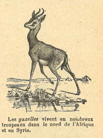 Chapitre 64, page 223-1