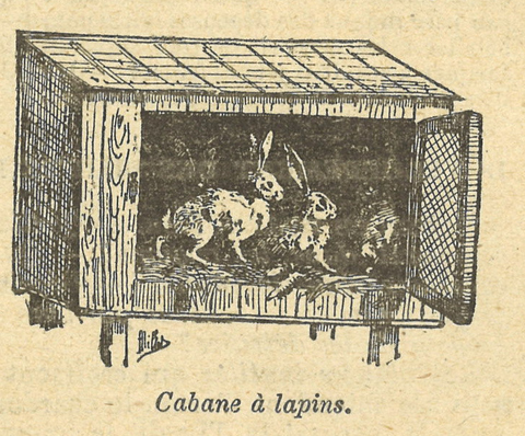 Chapitre 41, page 143, Cabanes a lapins