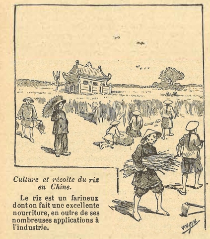 Chapitre 31, page 110, Culture et recolte en chine