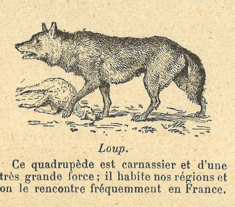 Chapitre 4, page 12, Loup