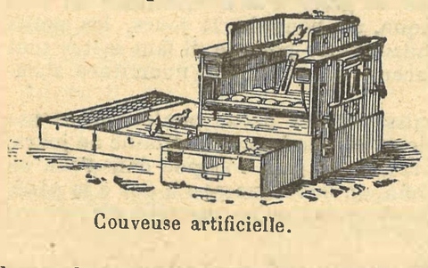 Chapitre 108, page 378, Couveuse artificielle