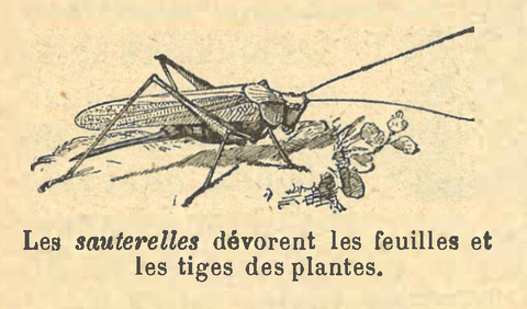 Chapitre 65, page 227-2