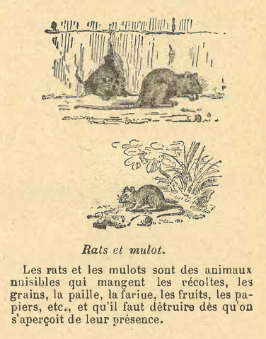 Chapitre 27, page 97, Rats et mulot