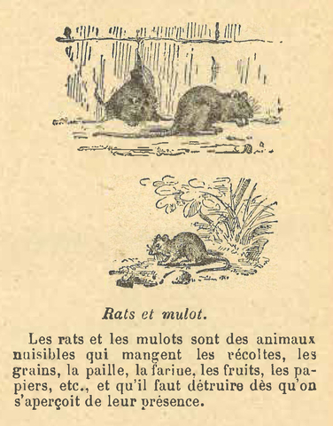 Chapitre 27, page 97, Rats et mulot