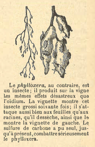 Chapitre 65, page 228-2