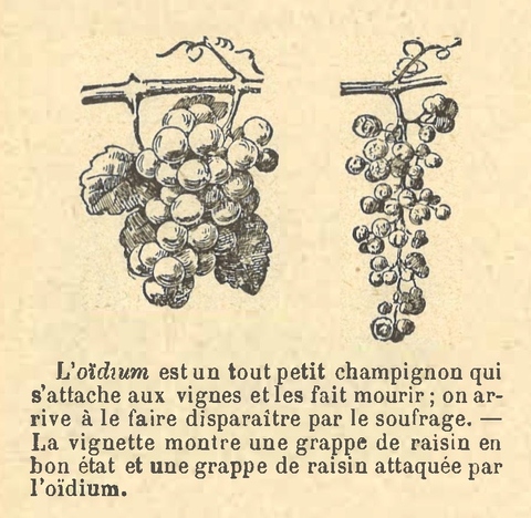 Chapitre 65, page 228-1