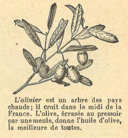 Chapitre 65, page 227-3