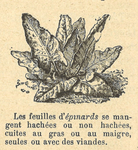 Chapitre 49, page 172