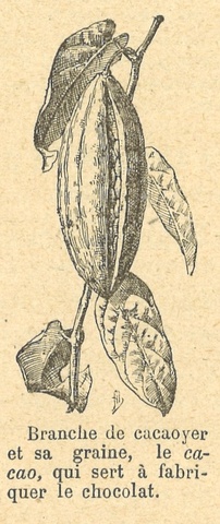 Chapitre 137, page 484-2