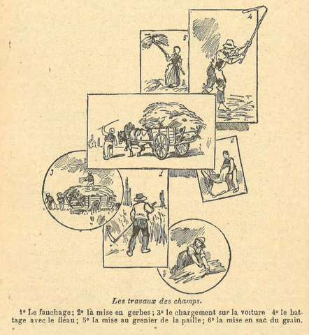 Chapitre 47, page 164, Les travaux des champs