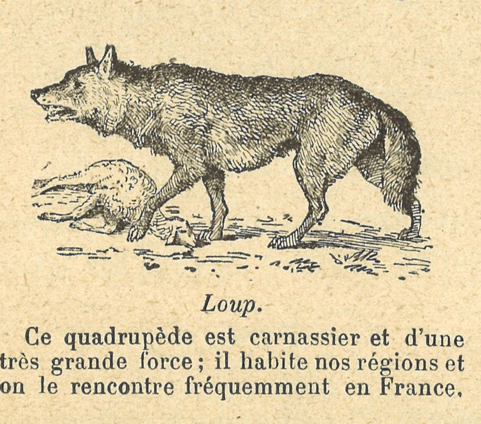 Chapitre 4, page 12, Loup