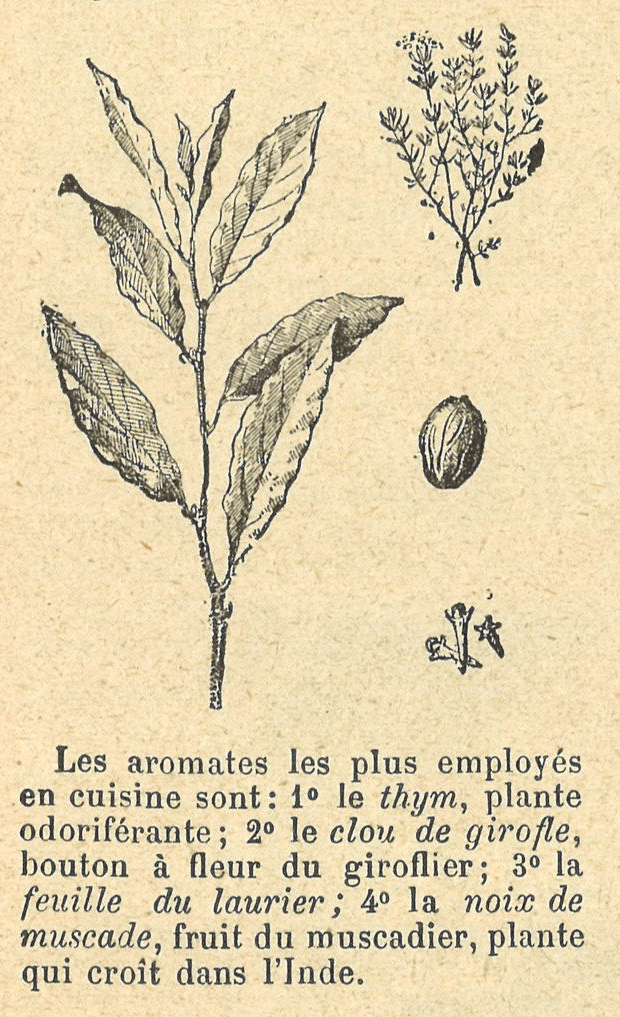 Chapitre 8, page 28, Les aromates