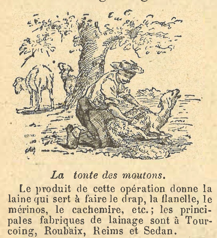 Chapitre 16, page 58, La tonte du mouton