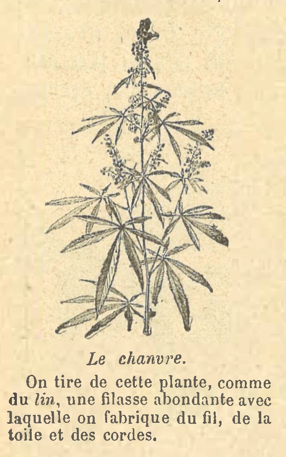 Chapitre 18, page 66, Le chanvre