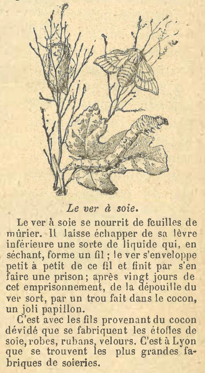 Chapitre 18, page 66, Le ver à soie