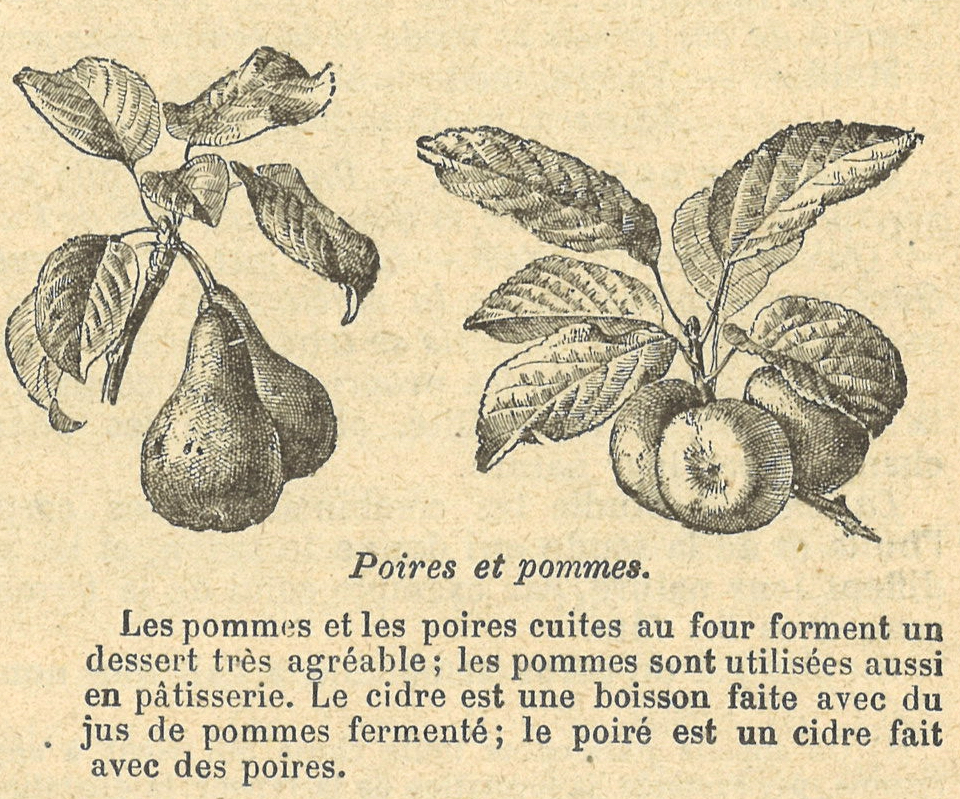 Chapitre 22, page 78, Poires et pommes