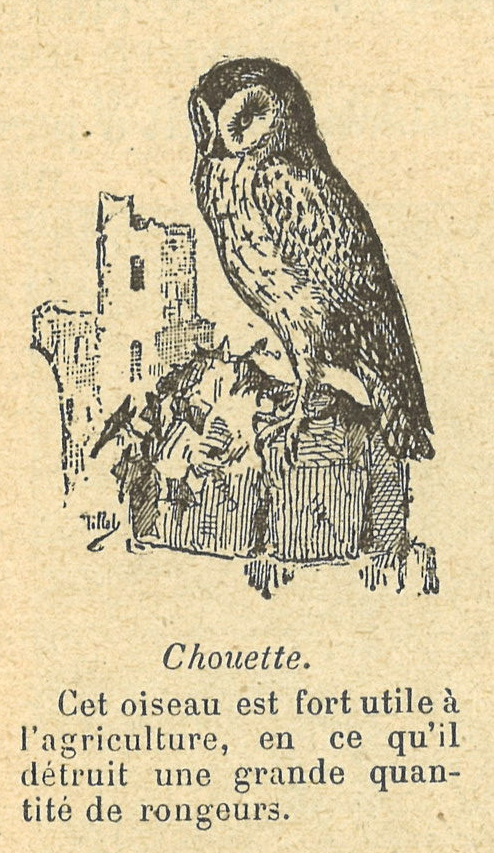 Chapitre 24, page 88, Chouette