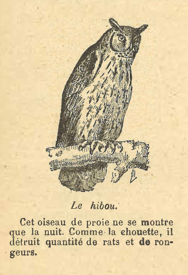 Chapitre 27, page 97, Le Hibou