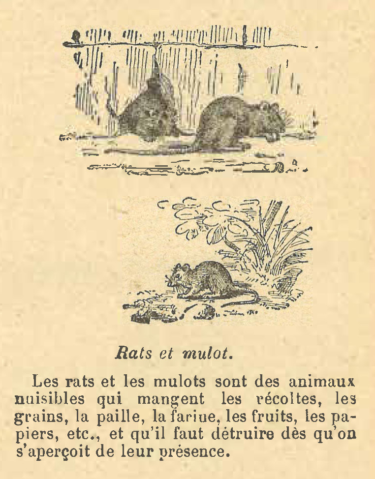 Chapitre 27, page 97, Rats et mulot