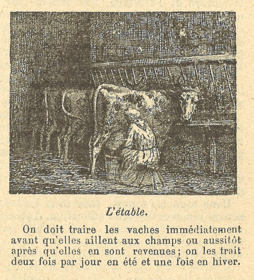 Chapitre 29, page 103, L'etable