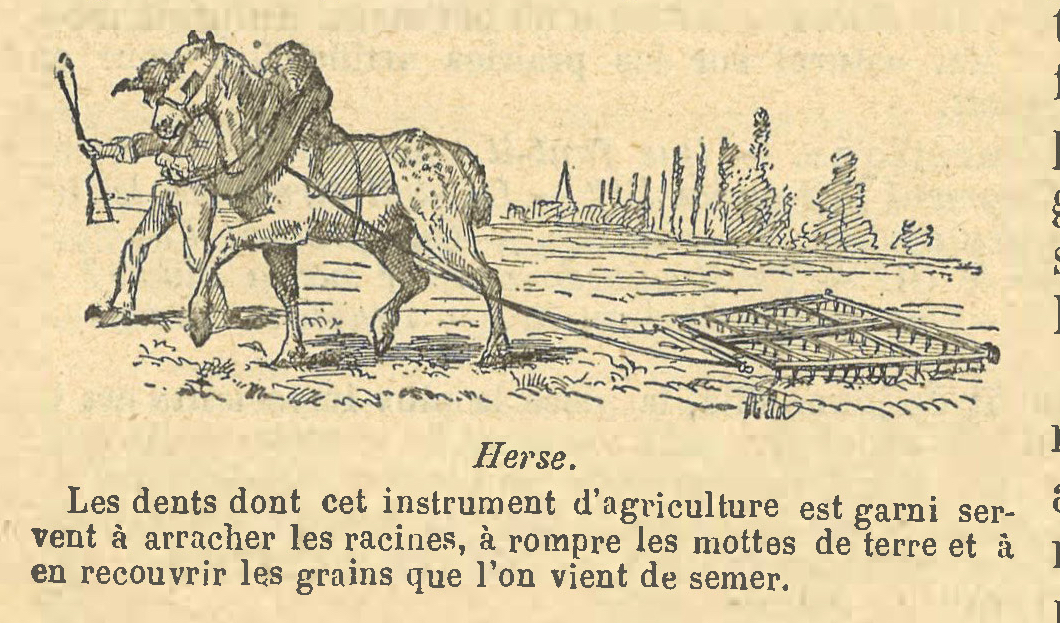 Chapitre 41, page 142, Herse