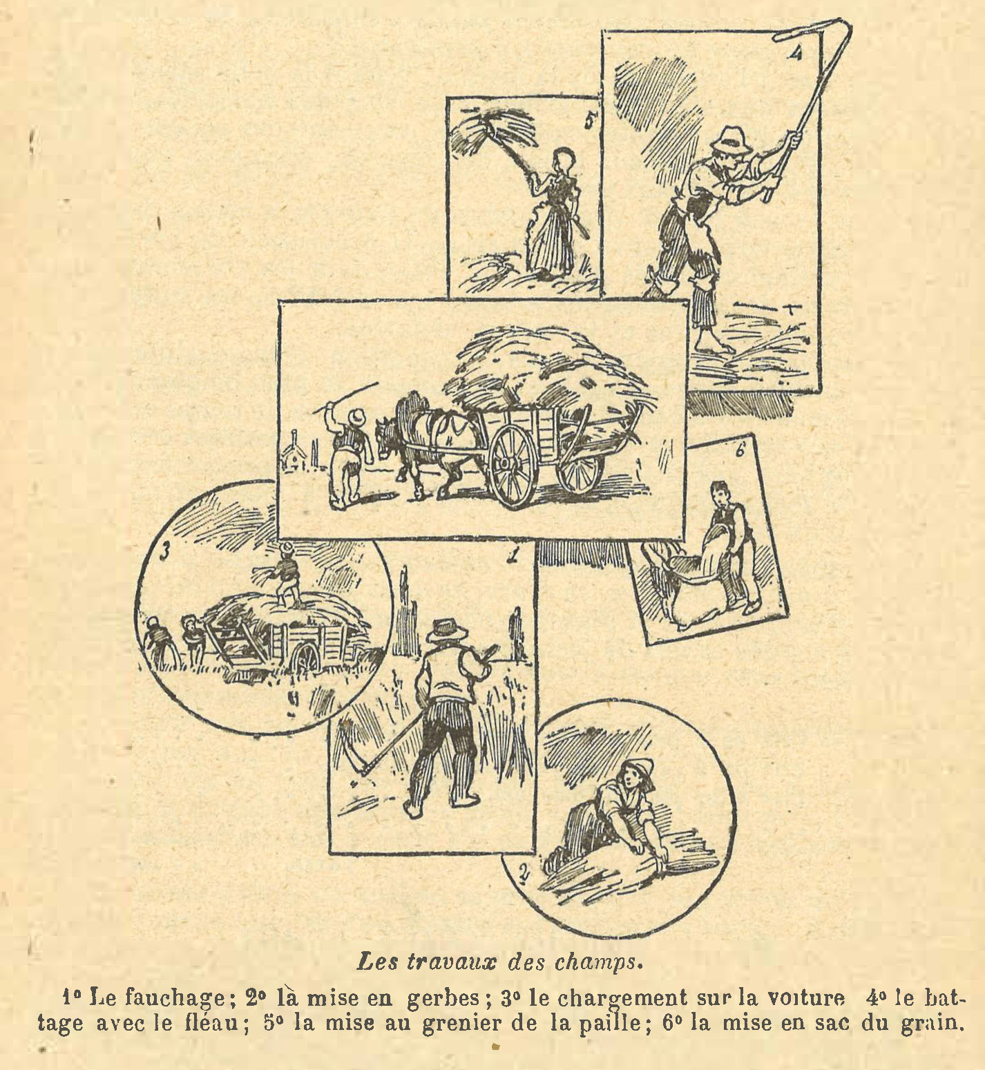 Chapitre 47, page 164, Les travaux des champs