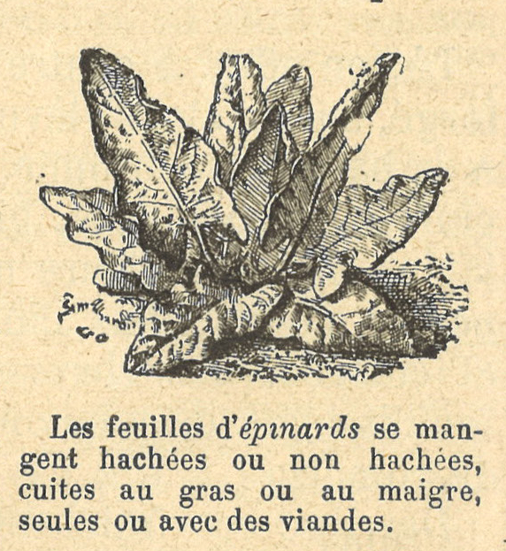 Chapitre 49, page 172