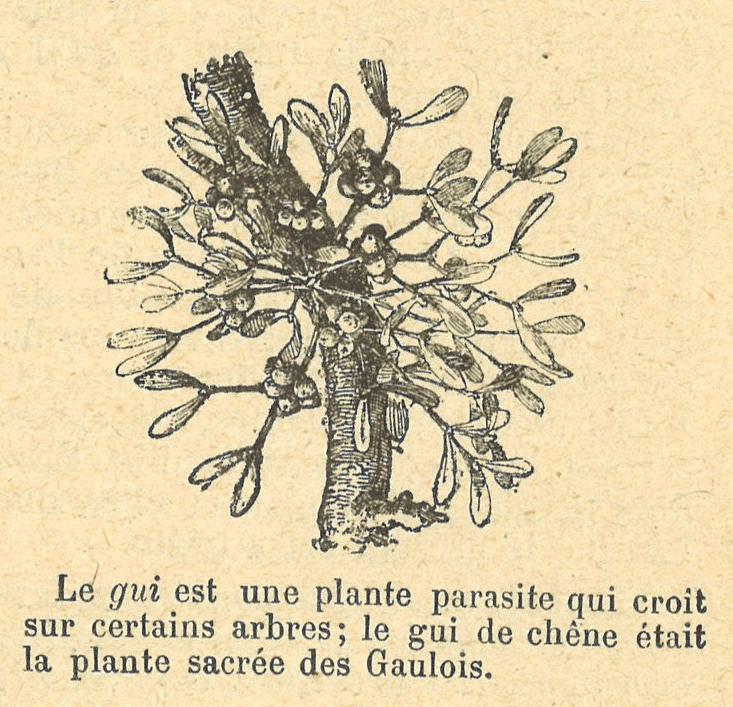 Chapitre 51, page 179