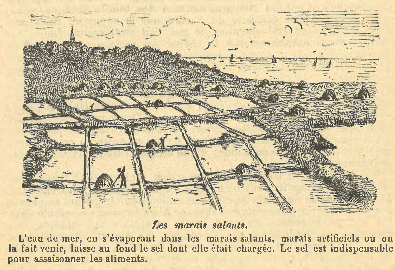 Chapitre 52, page 182-1Les marais salants
