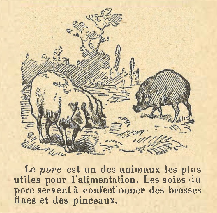 Chapitre 53, page 185