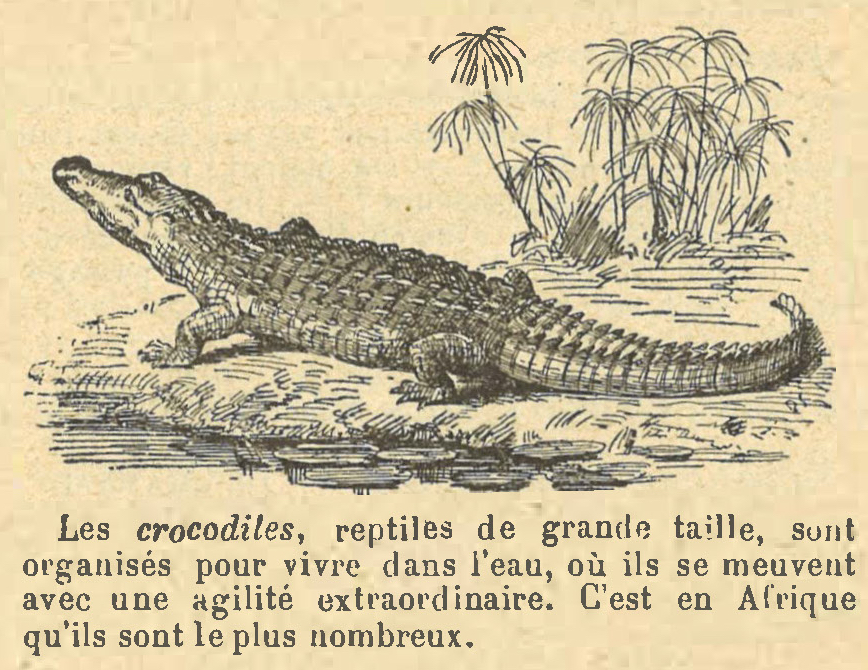 Chapitre 60, page 209