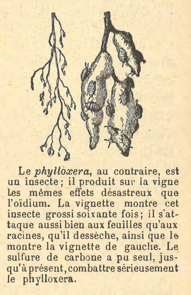 Chapitre 65, page 228-2