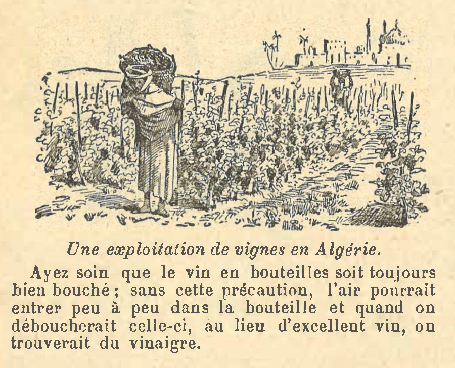 Chapitre 65, page 228, Une exploitation de vignes en Algerie