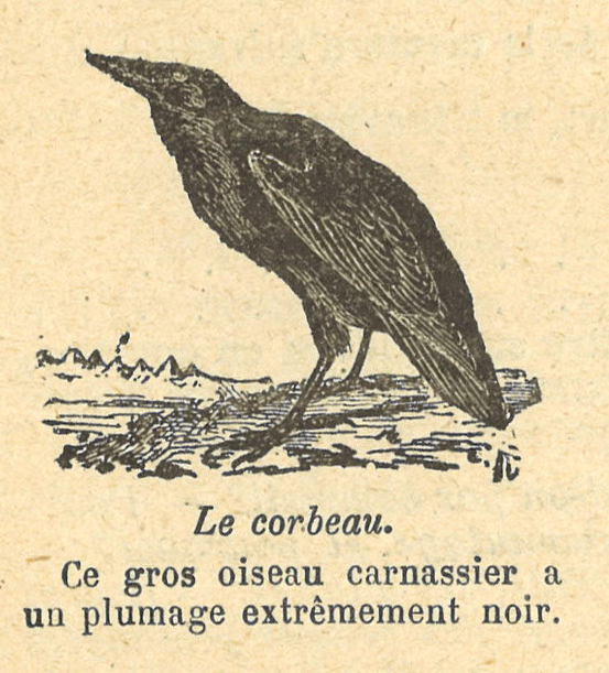 Chapitre 70, page 242, Le corbeau