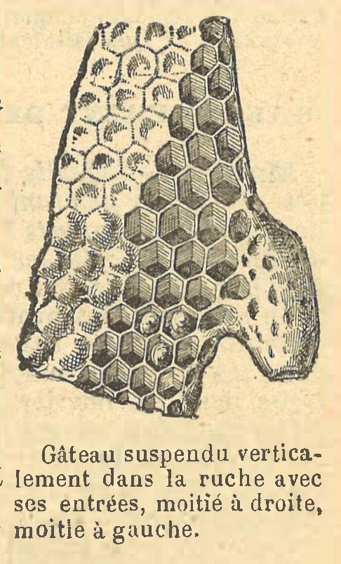 Chapitre 111, page 391