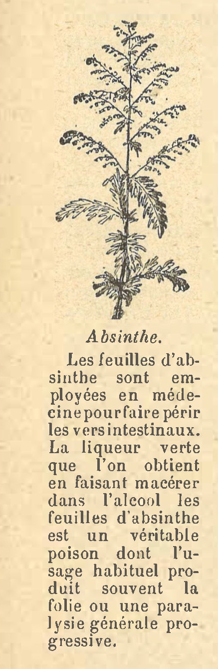 Chapitre 131, page 460, Absinthe