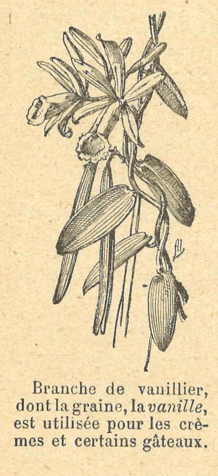 Chapitre 137, page 484-1