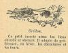 Chapitre 2, page 6, Grillon