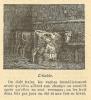 Chapitre 29, page 103, L'etable