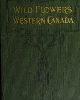 Citation block thumbnail