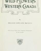 Citation block thumbnail